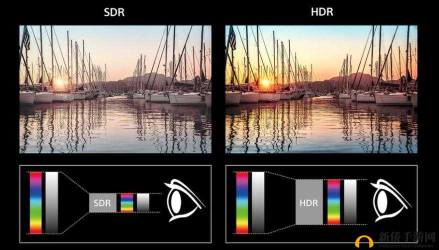 探索粗大猛烈进出高潮视频免费看的最佳平台，高清画质与流畅体验一网打尽