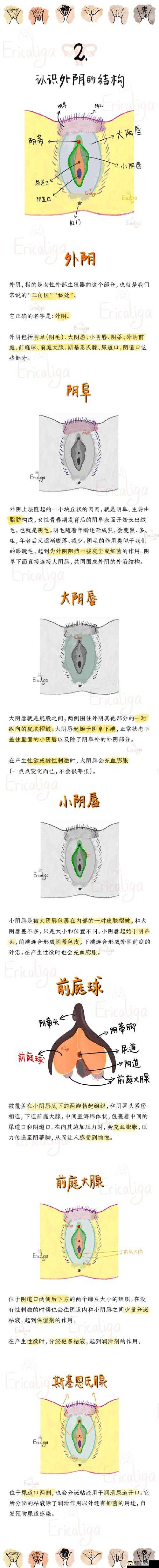 性XXX摘花过程XXXXHD是怎样的？深入剖析这一独特过程全揭秘