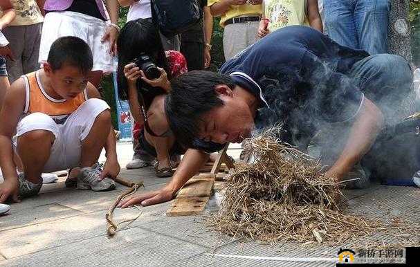 古代人生如何精准捕捉一品促织？特殊抓蛐蛐技巧揭秘！