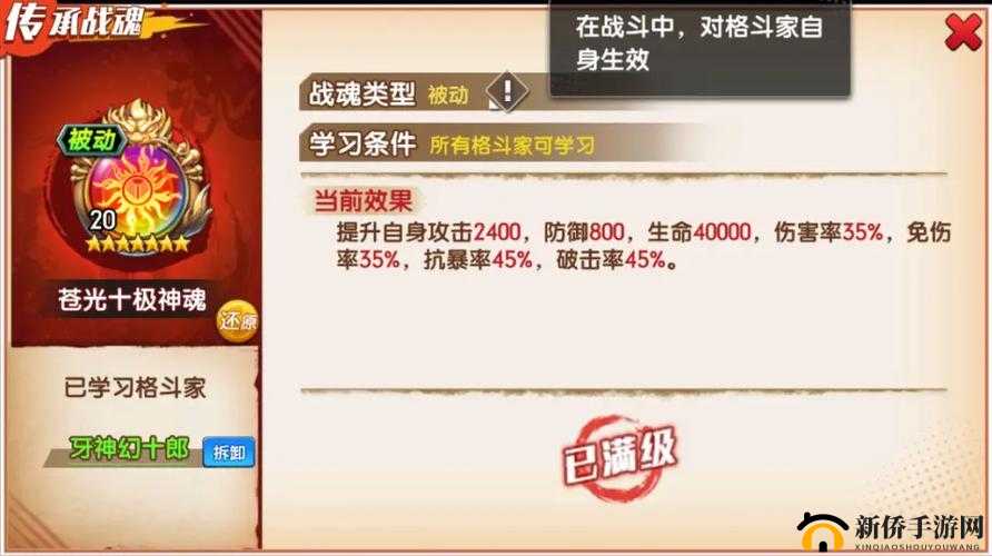 拳魂觉醒中战魂如何搭配获取？深度解析与实战建议揭秘！