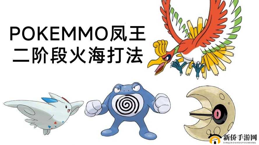 凤王技能如何搭配最强？配招心得全面解析，你掌握了吗？