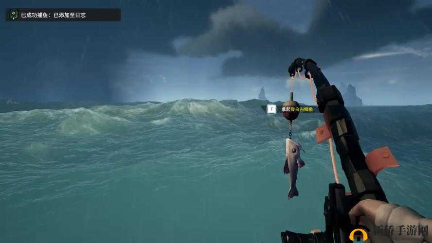 🔥盗贼之海钓鱼必看！零基础也能轻松收货100+攻略⚡
